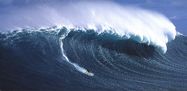 Surfer